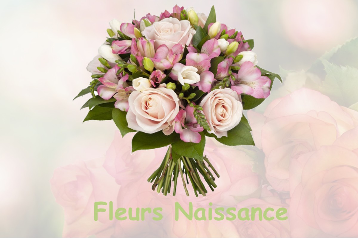 fleurs naissance SAINT-THEOFFREY