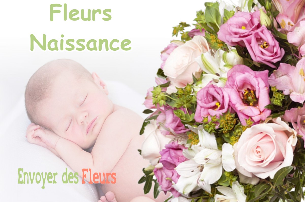 lIVRAISON FLEURS NAISSANCE à SAINT-THEOFFREY